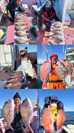 2月入ってもマダイ好調 !