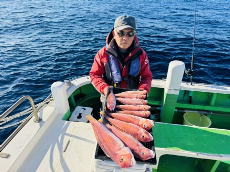 2/1 渥美さん、中・良型揃いに大型42.5cm筆頭でアマダイ10尾ゲット♪