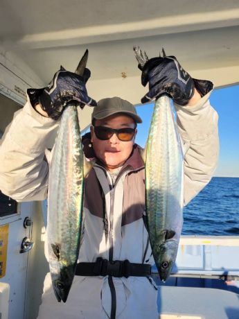 サワラ・サゴシ好調〜!”