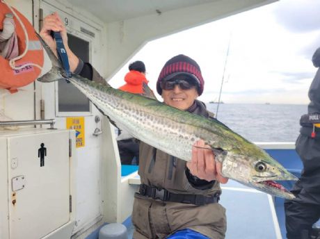 サワラ・サゴシ好調〜!”