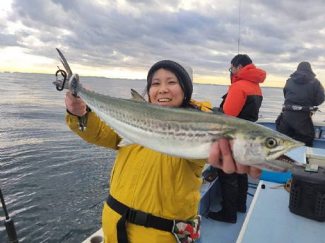 サワラ・サゴシ好調〜!