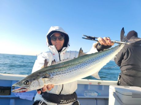 サワラ・サゴシ好調〜!”