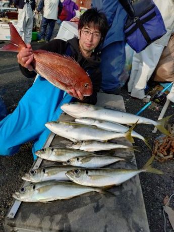 ���V�[�Y�������悢����o��B