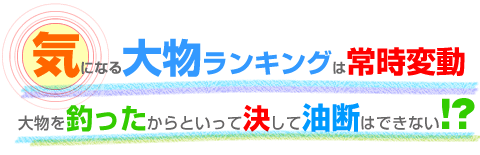 �C�ɂȂ�啨�����L���O�͏펞�ϓ� �啨��ނ�������Ƃ����Č����Ė��f�͂ł��Ȃ�!?