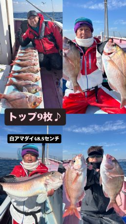 2��12���@�g�b�v9����50�Z���`��̔��Ñ���I