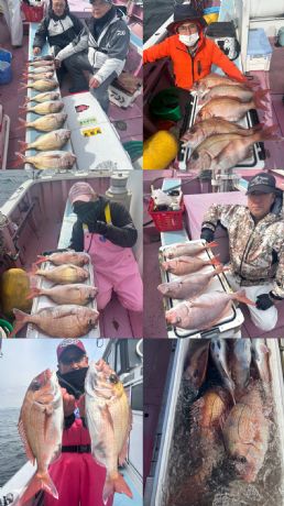 2月20日 マダイ良型揃い♪ バラシ多数!