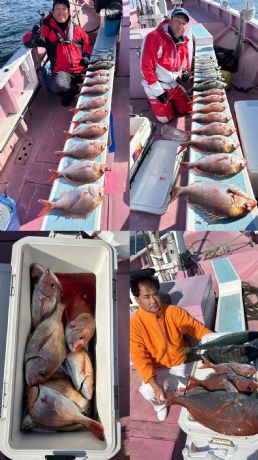 �}�_�C�g�b�v9���I