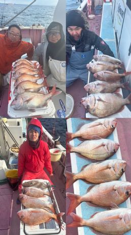 マダイ好調です!