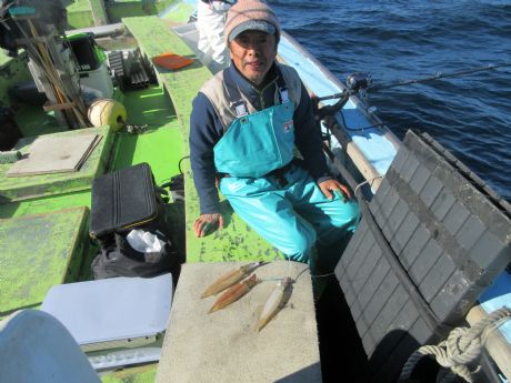 ヤリイカ 3点掛けも。