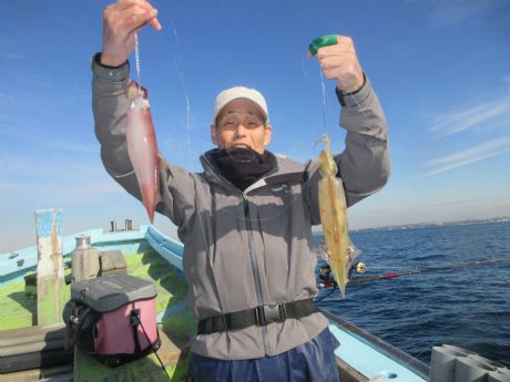 ヤリイカ、W、Gt。