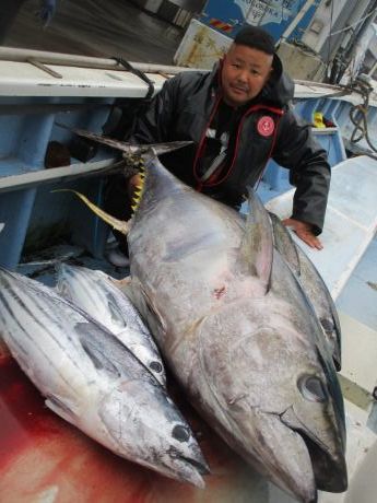 キハダ、W、GT。