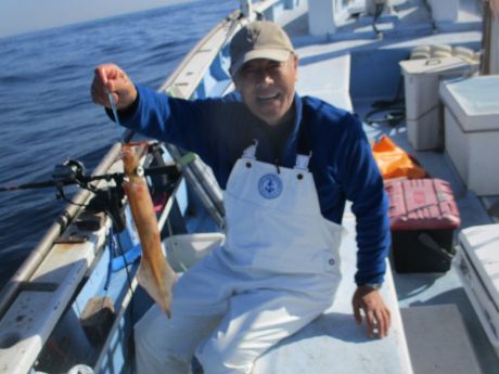 �����C�J�AGt�B