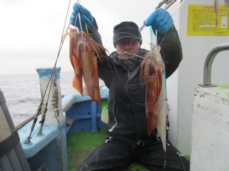 スルメ、6点掛けも。