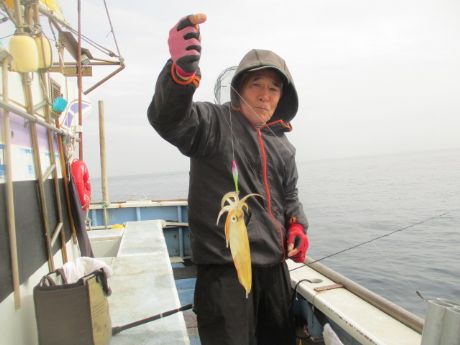 �}���C�J�AGt�B�B