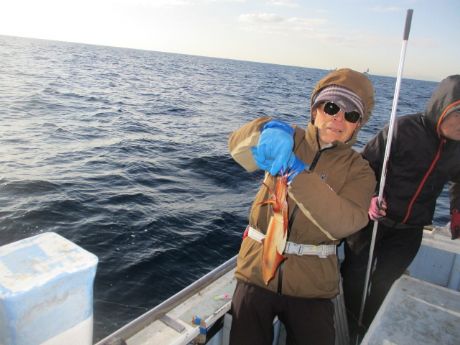 �}���C�J�AGt�B