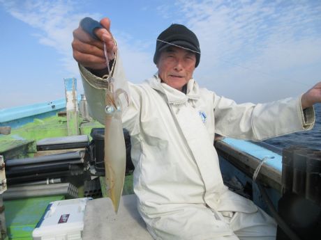 ヤリイカ Gt。。