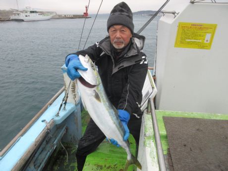 ヤリイカ餌でブリGT。