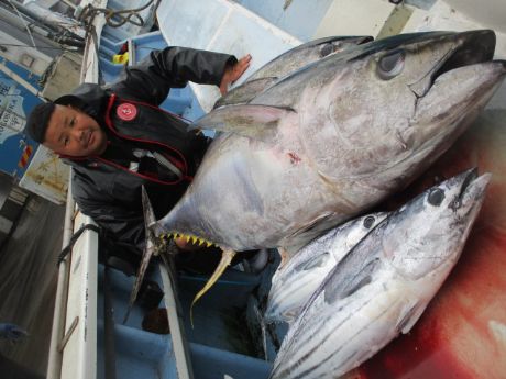 キハダ、W、GT。