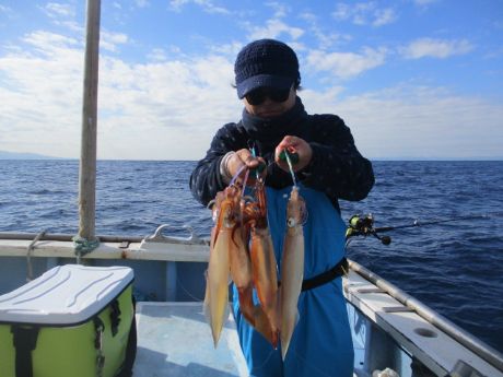 ヤリイカ、 4点掛けも。