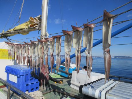 �X�����̉��������B�B