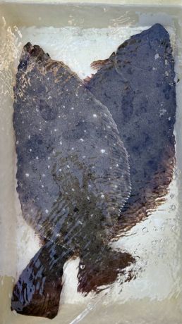 11月30日 イナダ五目船で