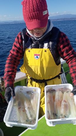 �P���X���@�����C�J�D��