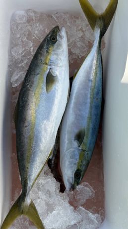 �P���P�O���@�}�_�C�D��