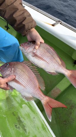2月14日 マダイ船で