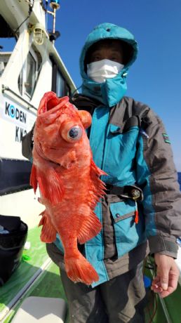 2月13日 アコウ船で