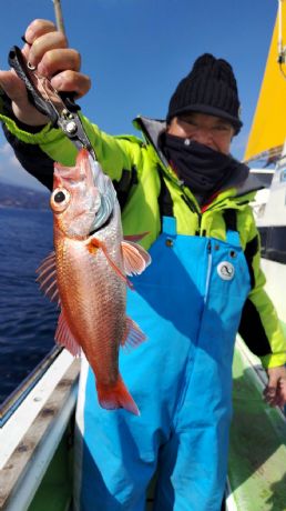 �Q���P�W���@�����D�Ł@�A�J���c