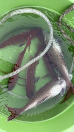 �Q���Q�O���@�}�_�C�D�Ł@�U��