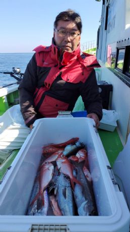 �Q���Q�P���@�����D��