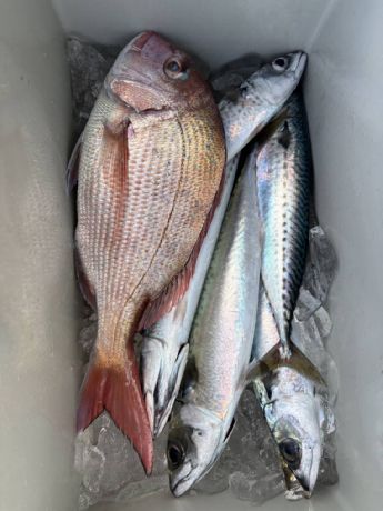 �Q���Q�S���@�}�_�C�D��