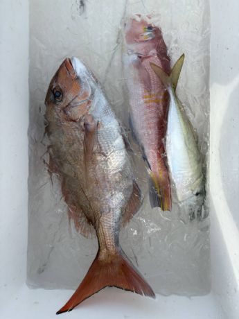 2月24日 マダイ船で