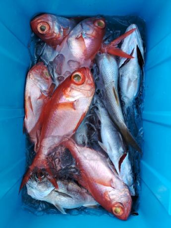 �Q���Q�W���@�����D��