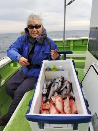 �Q���Q�V���@�����D��