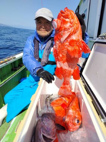 3月1日 アコウ船で 4匹