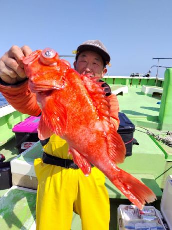 �R���P���@�A�R�E�D��