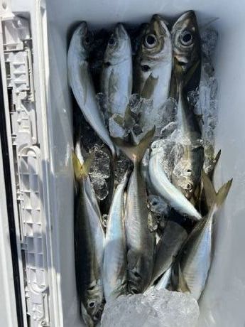 �R���U���@�r�V�A�W�D��