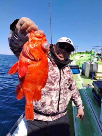 �R���W���@�A�R�E�D��