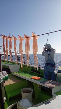 �P���P�V���@�����C�J�D�Ł@�X�����C�J