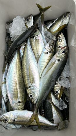 �r�V�A�W�D��