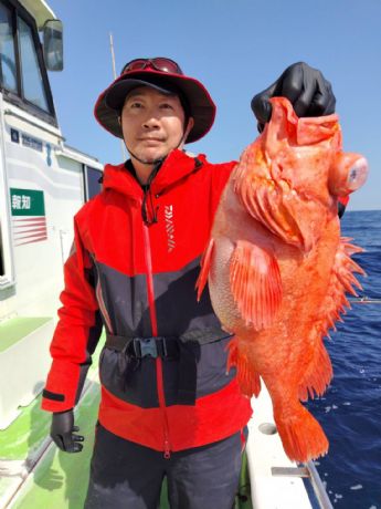 �R���P���@�A�R�E�D��