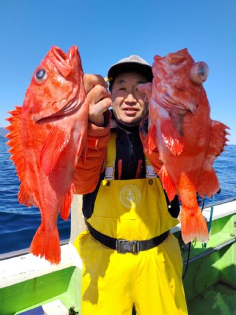 �R���W���@�A�R�E�D��