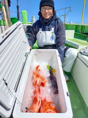 �R���W���@�A�R�E�D��