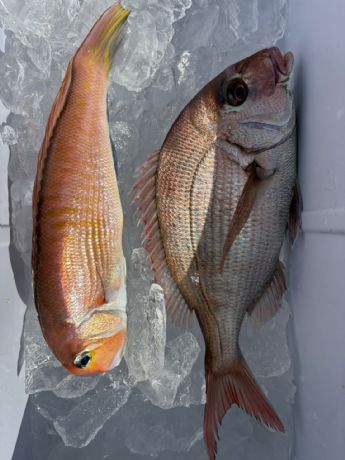 �R���P�S���@�}�_�C�D��