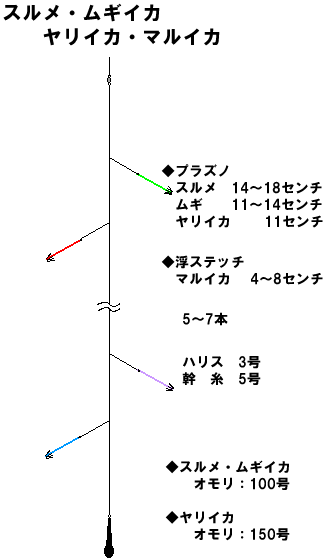 金沢八景 一之瀬丸 仕掛図 スルメイカ ムギイカ ヤリイカ マルイカ 関東沖釣り情報