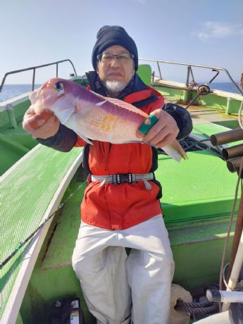 �P�D�P�X�@�A�}�_�C�D