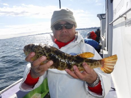 PP/QQiyjRS̃AJłPUQbgE