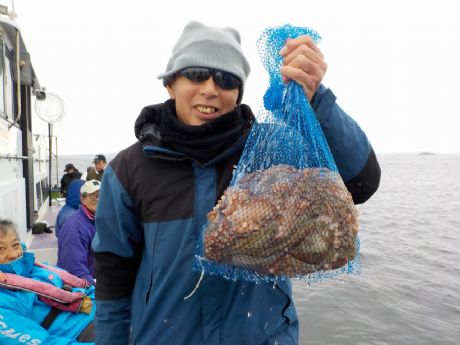 PP/QRij̊ԂłPOtQbgE